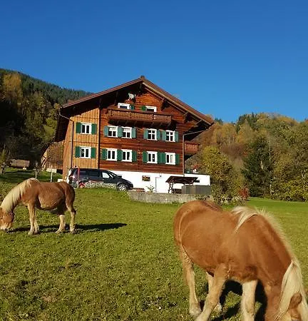 Haus Silke Apartment Silbertal